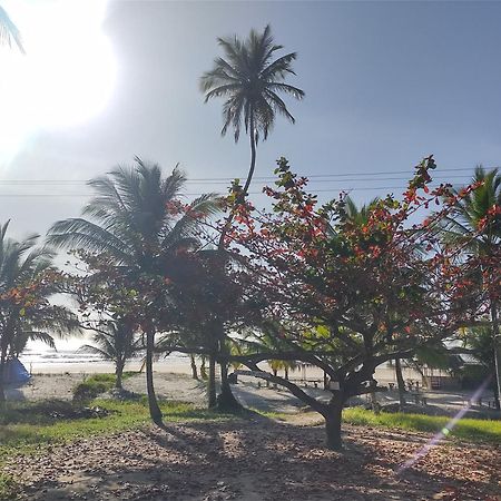 Casa Aroeira Pousada イリェウス エクステリア 写真